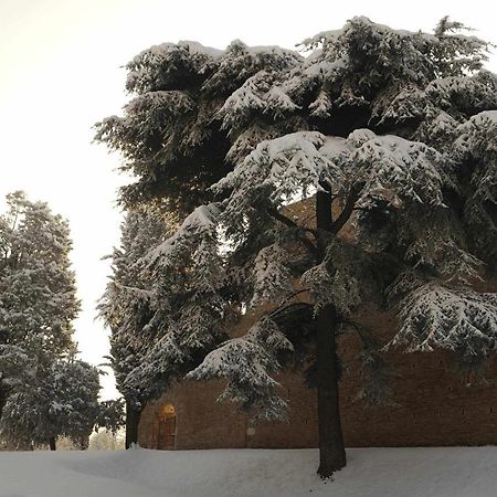 Ca Raffaello Lovely House Near Venice Noale Exterior photo